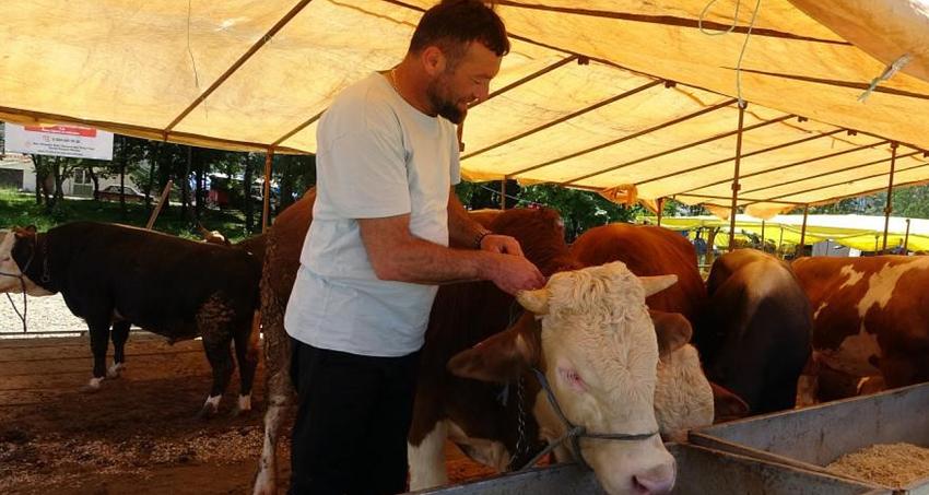YALOVA’YA HAYVAN PAZARLARINI KAPATIN TALİMATI
